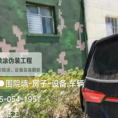 江西数码迷彩漆施工